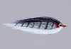 CF Baitfish Fly